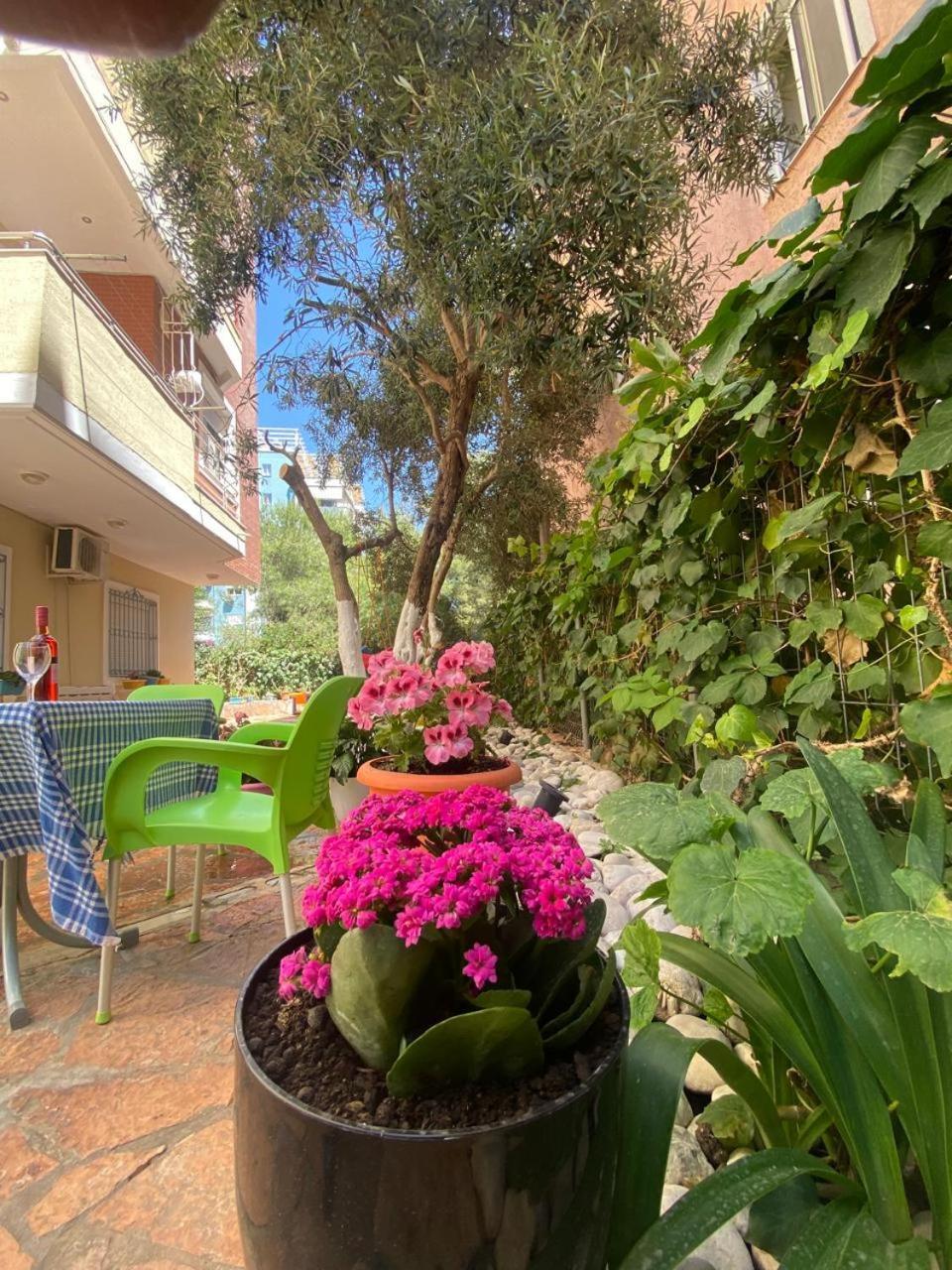 Olive Tree Apartment Saranda Kültér fotó