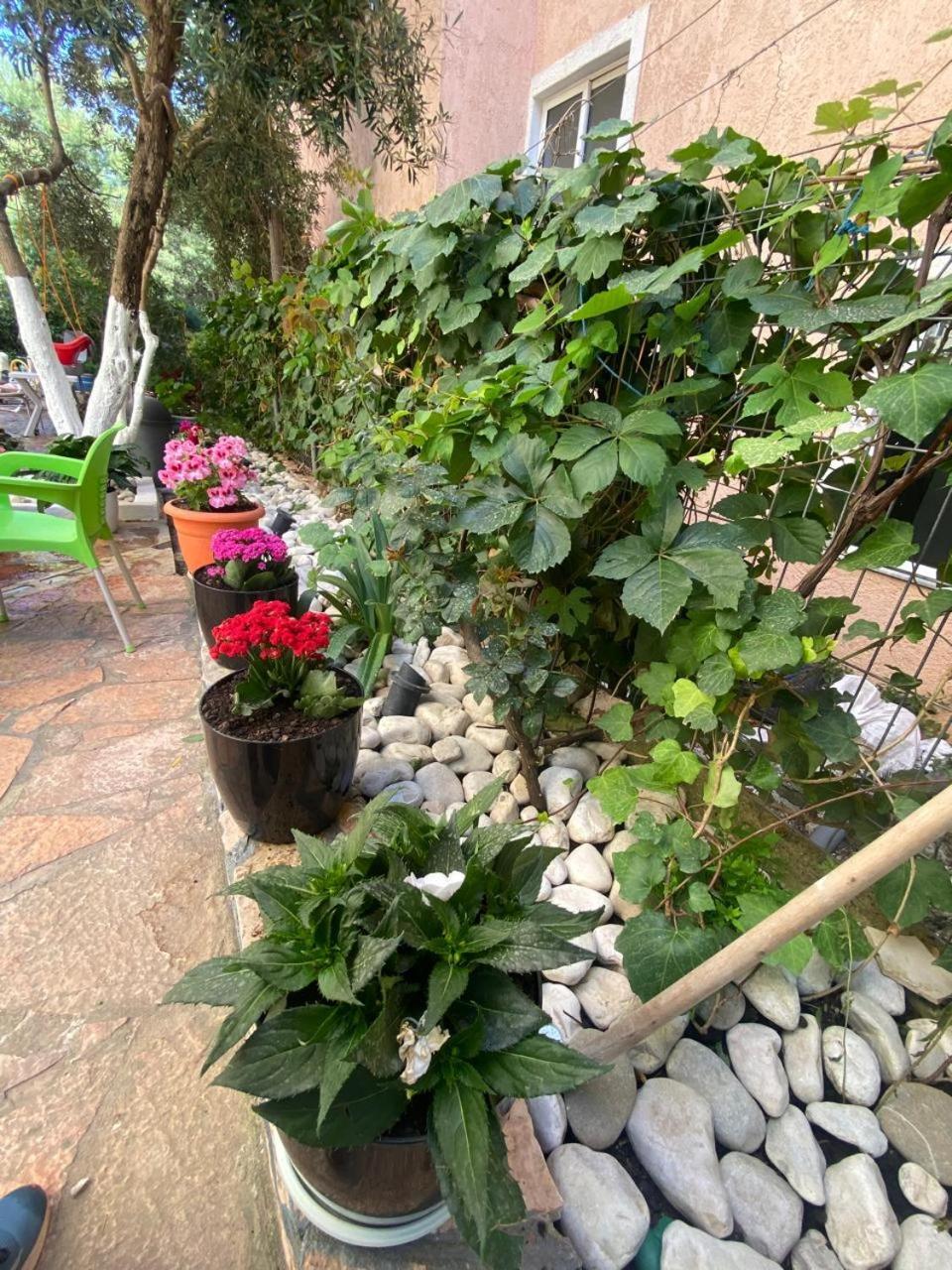 Olive Tree Apartment Saranda Kültér fotó